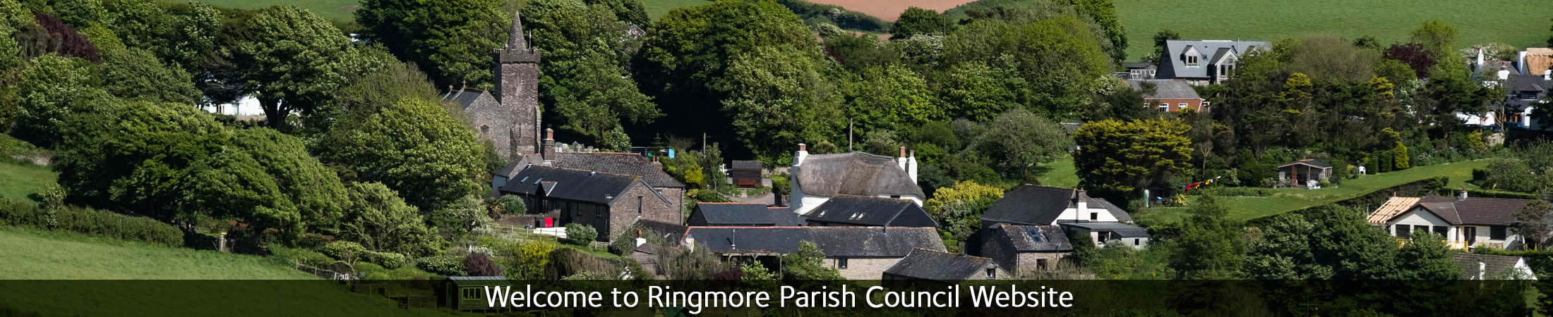 Header Image for Ringmore Parish Council 