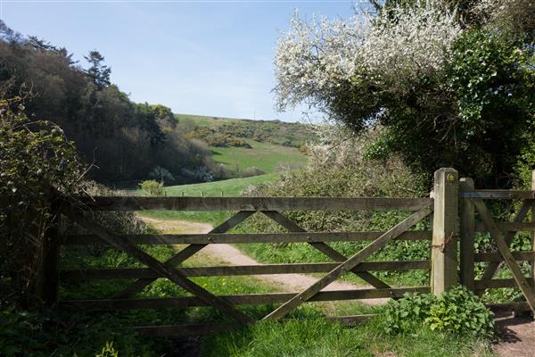 Path to Ayrmer Cove